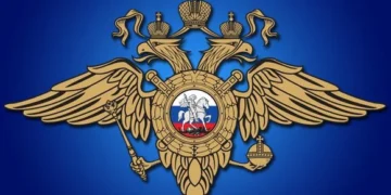 4mm4mhdknsp3seygb4g4bwo7djnkw3ry.webp.webp