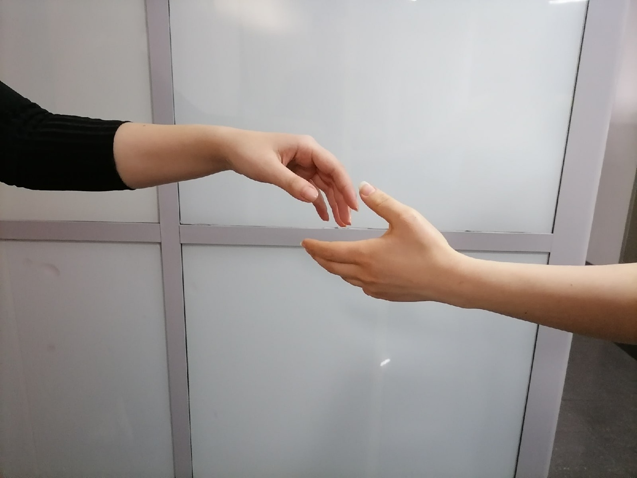 6427750.jpg